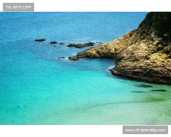 香港大埔主场气势如虹快节奏攻势贯穿全场彰显无敌实力